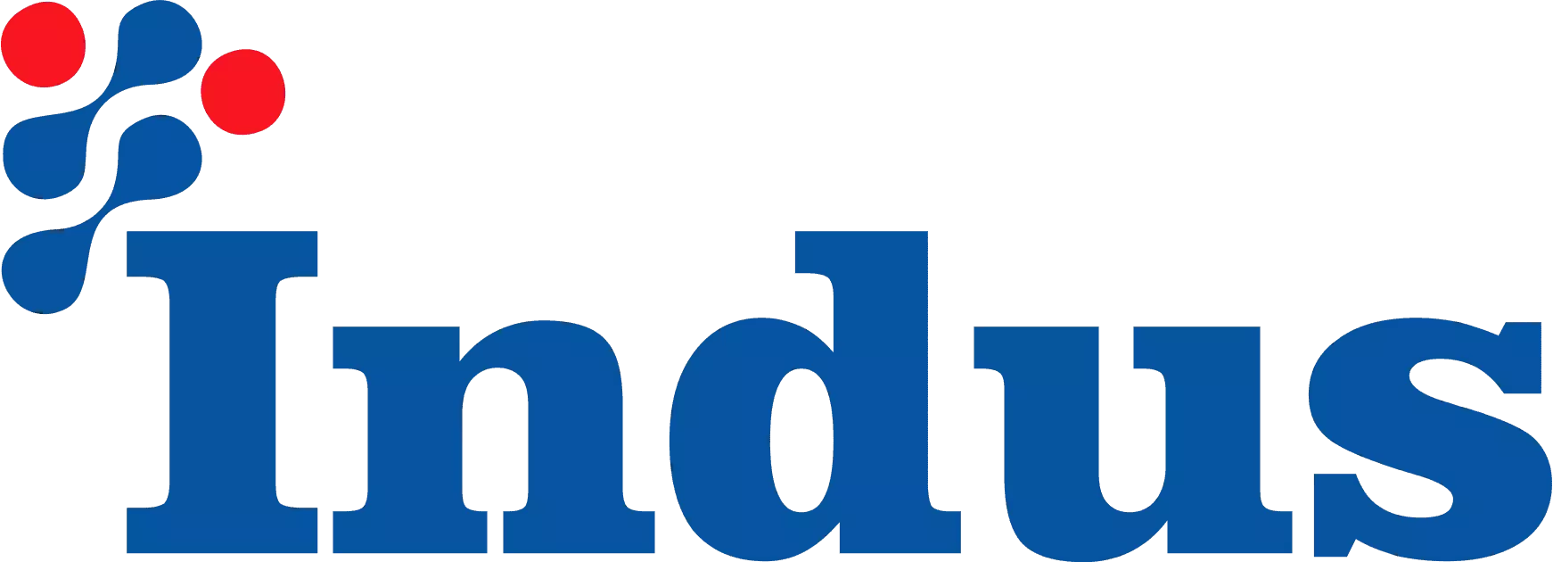 SEO Case Study for Indus Corporation